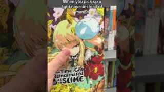 You like light novels? #manga #anime #weeb #isekai #bluelock #onepiece #shorts #animeshorts