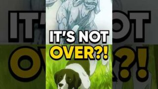 You NEED to Hear This Theory in Attack on Titan!